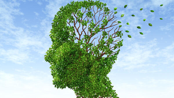 Dargestellt ist Kopf in der Art eines Baumes: der ganze Kopf besteht aus grünen Blättern, an der Stelle, an der das Gehirn sitzen würde, fliegen die grünen Blätter fort und man sieht nur noch die kahlen Äste.
